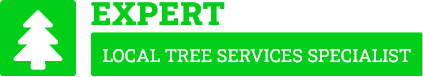Palmerston North Tree Removal - Tree Removal Palmerston North